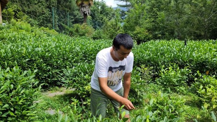 Ein Teilnehmer von "come together" während eines Ausflugs auf einer Teeplantage.